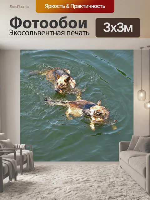 Фотообои Немецкая полиция собак