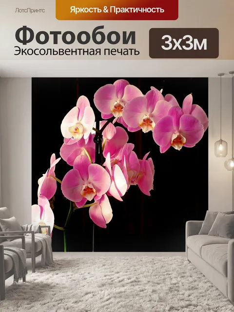 Фотообои Орхидеи