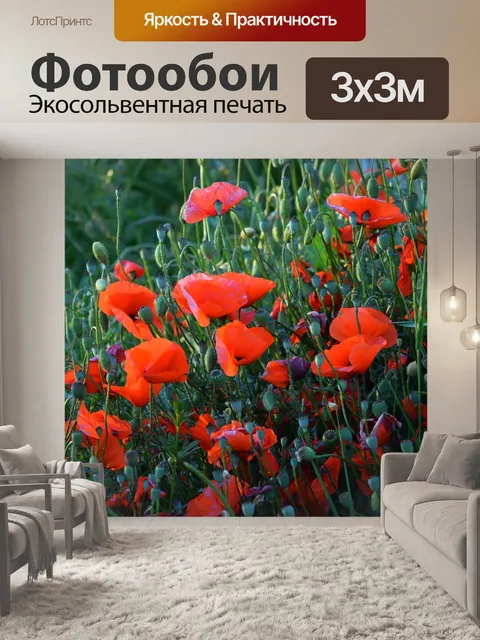 Фотообои Поле