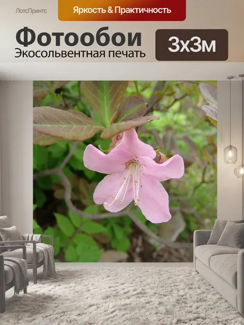 Фотообои Цветок