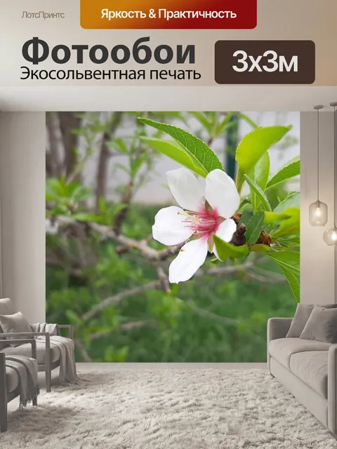Фотообои Цветок