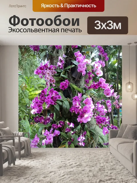 Фотообои орхидей