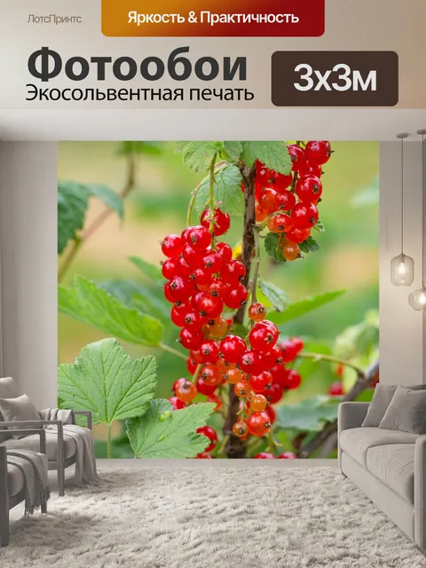 Фотообои Ягоды