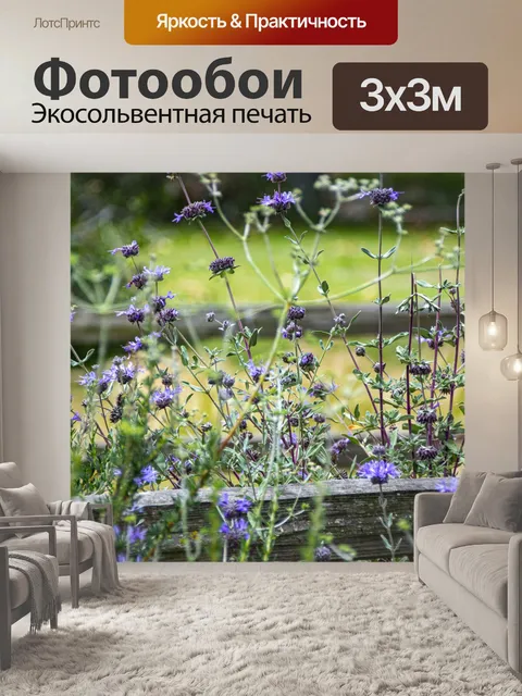 Фотообои Фиолетовые цветы