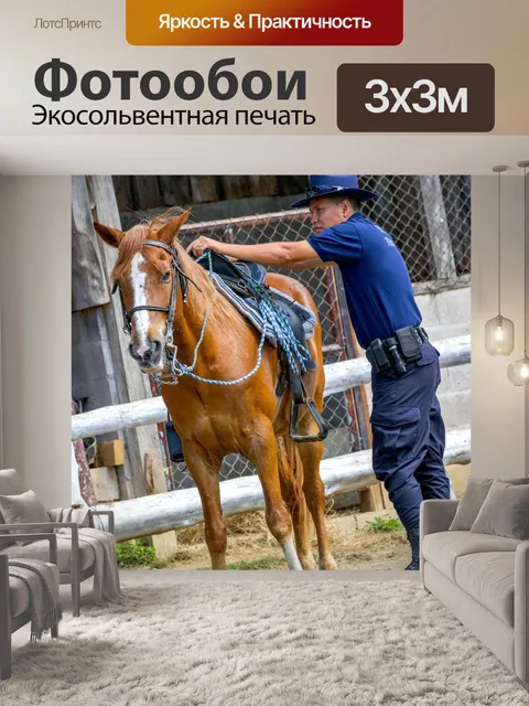 Фотообои Лошадь