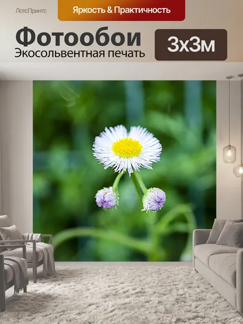 Фотообои Цветы
