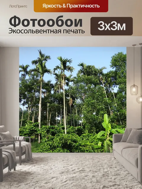 Фотообои Кофейная плантация
