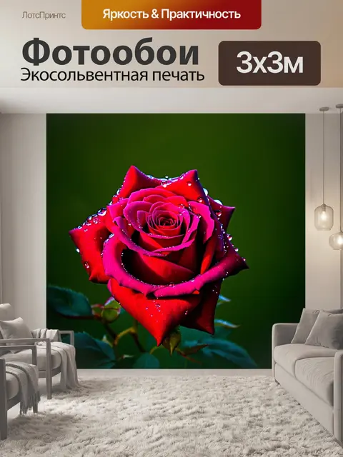 Фотообои роза, утопающая в каплях утренней росы, с яркими лепестками, отражающими солнечный свет