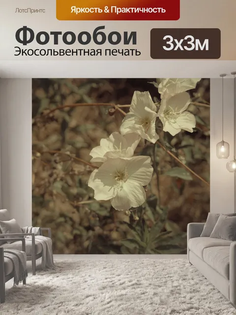 Фотообои Полевые цветы