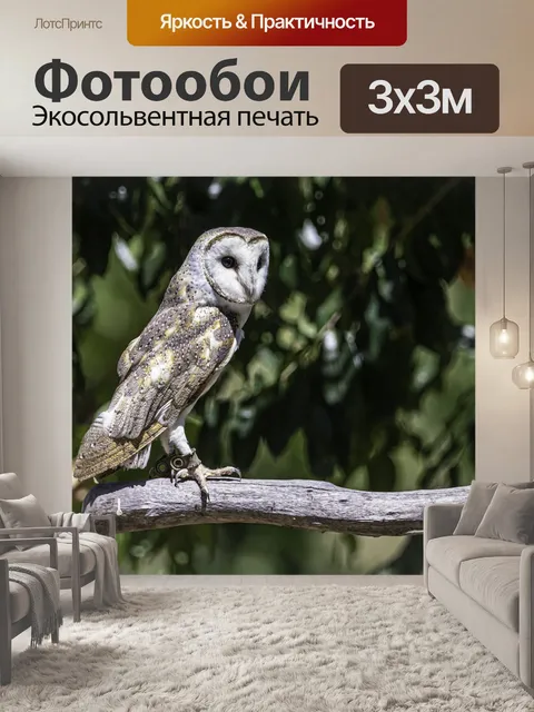 Фотообои Птицы