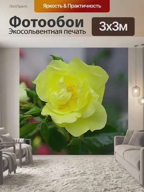 Фотообои Желтая роза