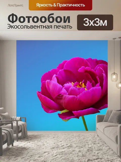 Фотообои Пион цветок розовый