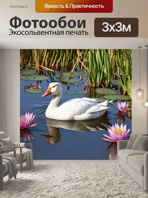 Фотообои в этом живописном овер-экспонированном снимке большой снежный гусь не спеша отдыхает на утренней росе