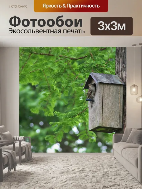 Фотообои Птица