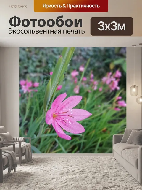 Фотообои Цветы