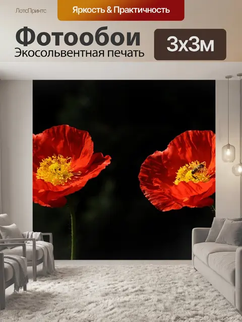 Фотообои Мак