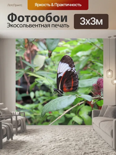 Фотообои бабочка