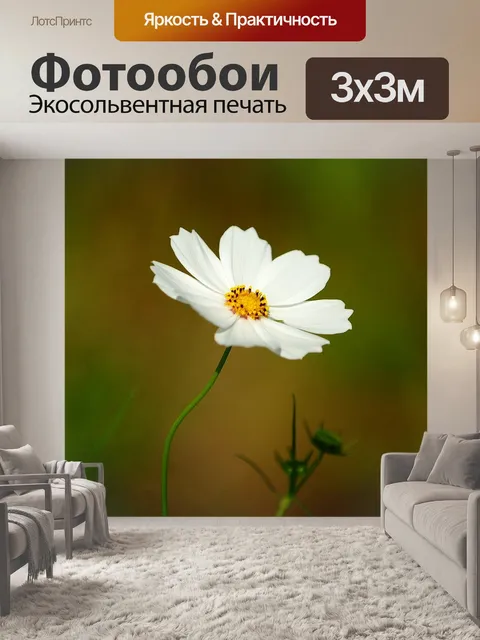 Фотообои Космос