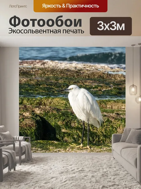 Фотообои Животное