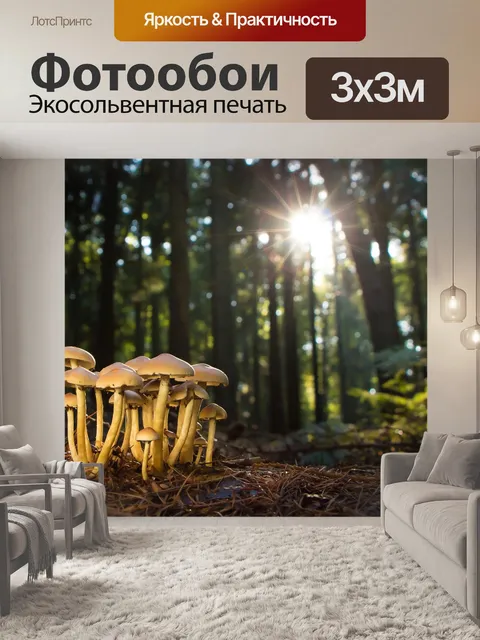 Фотообои Гриб