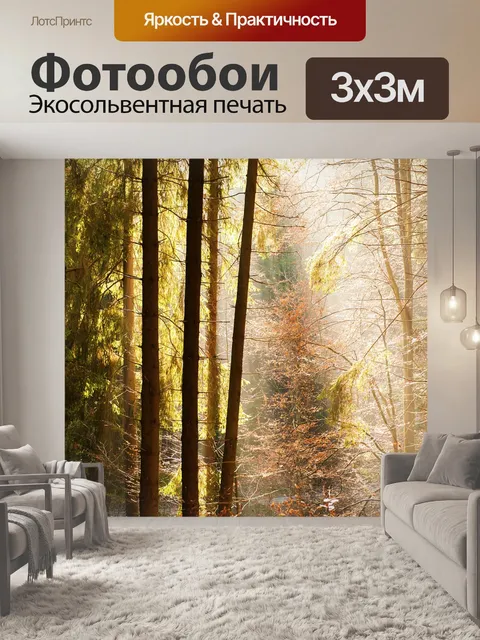 Фотообои Лес