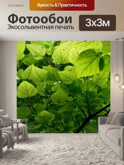 Фотообои Листья