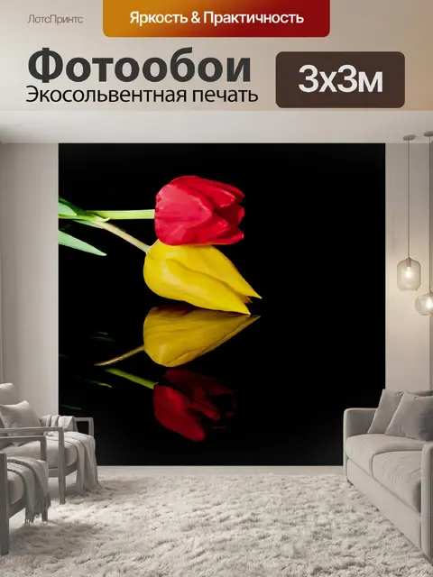 Фотообои Тюльпаны