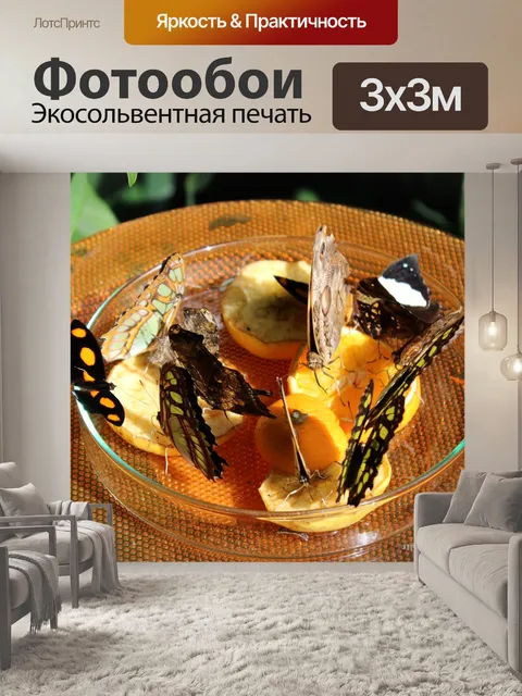 Фотообои Бабочки