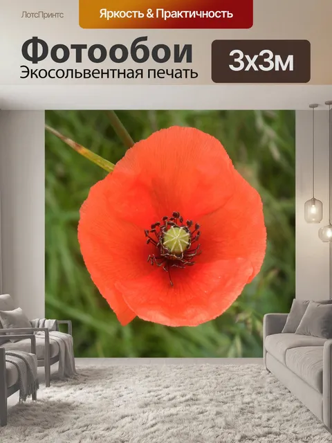 Фотообои Мака