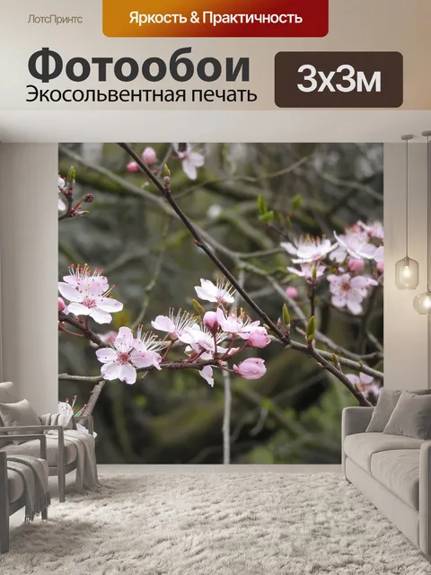 Фотообои Розовые цветы