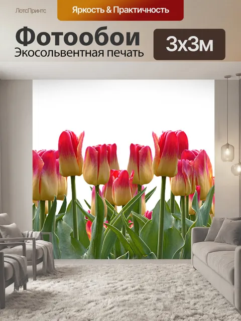 Фотообои Тюльпаны
