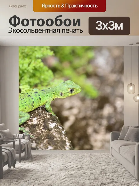 Фотообои Белиз