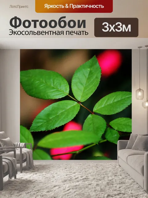 Фотообои листа 2