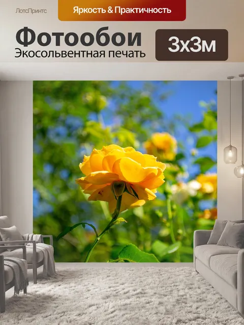 Фотообои Цветы