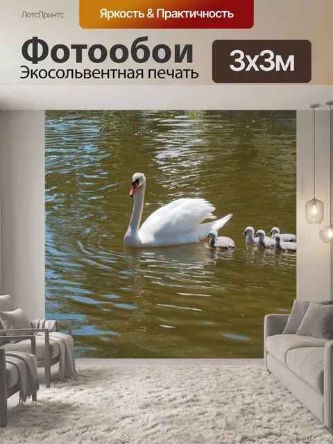 Фотообои Мать-лебедь с птенцами