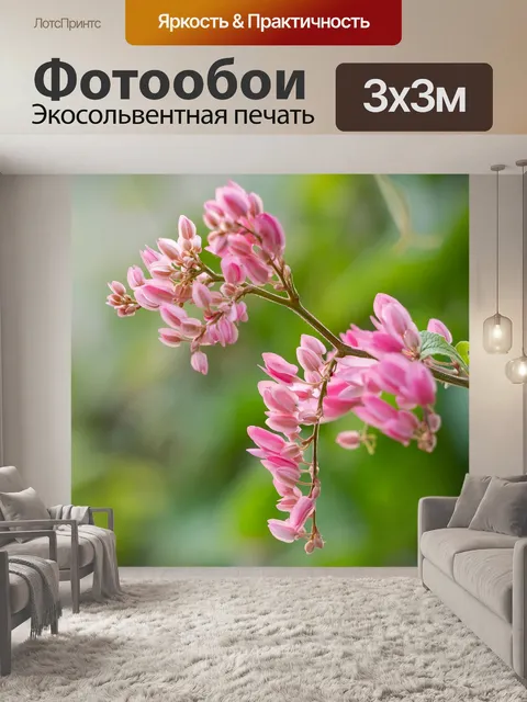 Фотообои Цветок орхидеи