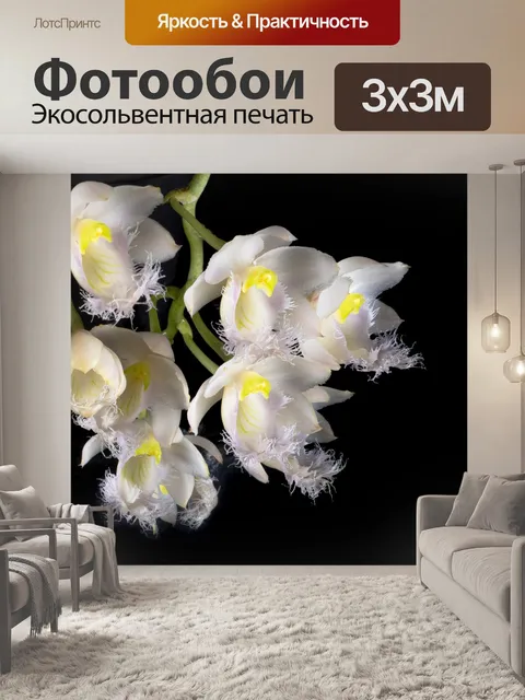 Фотообои Орхидеи