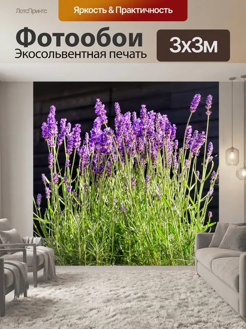 Фотообои Лаванда