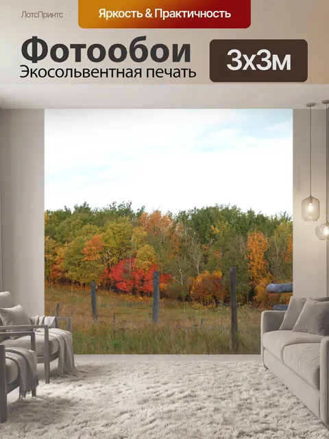 Фотообои Осенние листья
