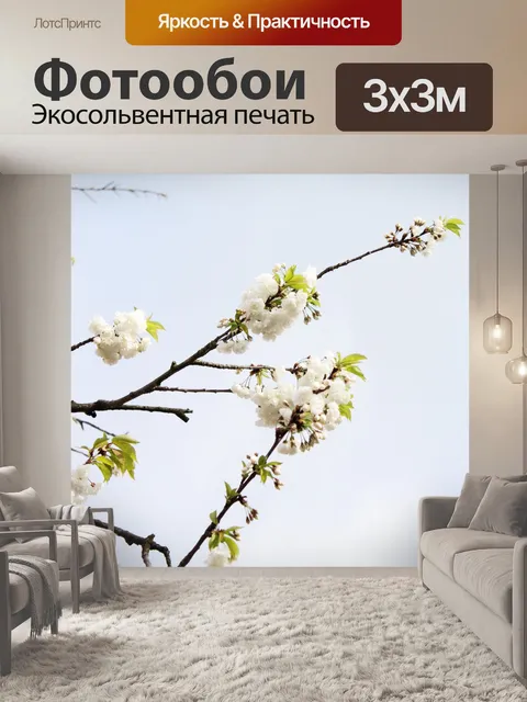 Фотообои Фон