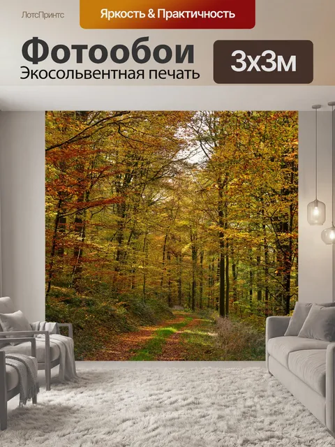 Фотообои Лес