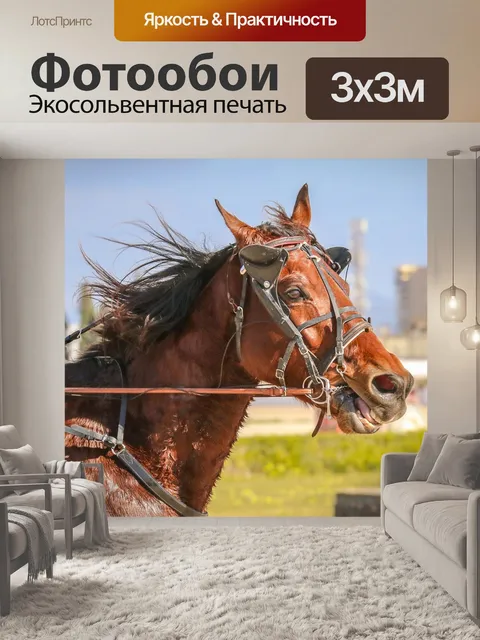 Фотообои Лошади