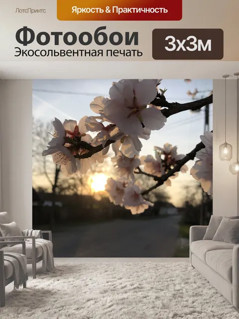 Фотообои Цветок