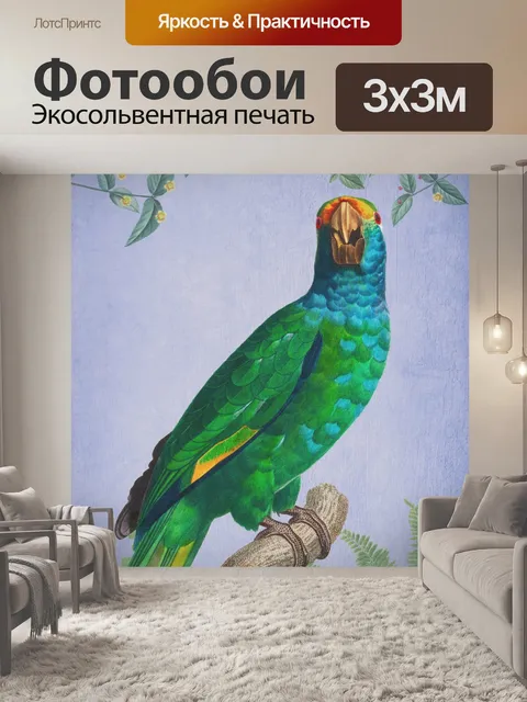 Фотообои Попугай птица старинный плакат