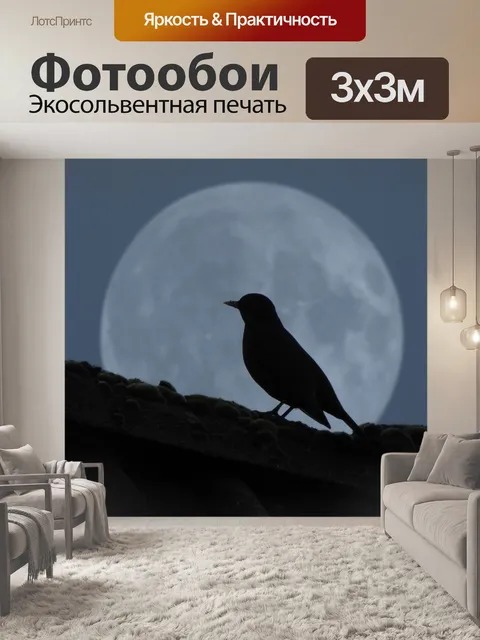 Фотообои Силуэт