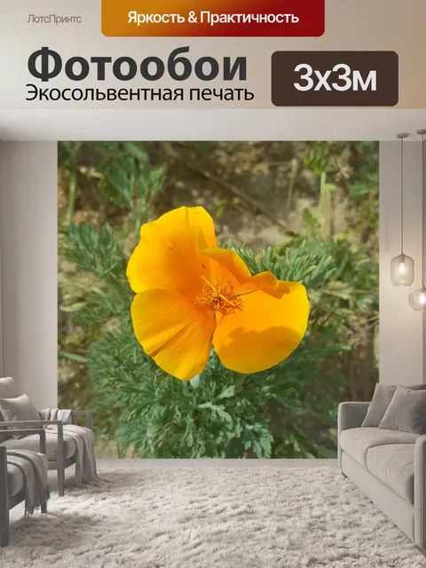 Фотообои Золотой