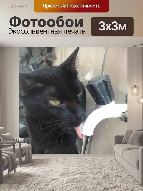 Фотообои Cat питьевой воды