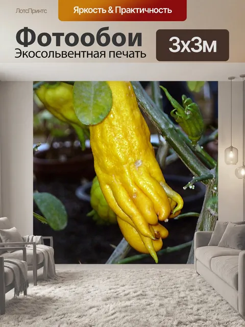 Фотообои Экзотика