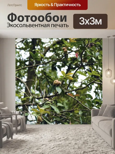 Фотообои Завод