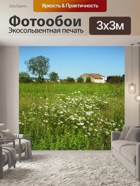 Фотообои Кампания
